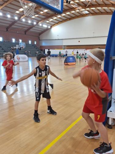 447905387_942916894298476_8085073128355449308_n