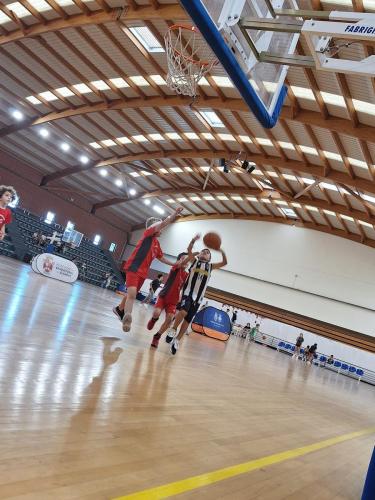 447968366_942913510965481_3313838637207644585_n