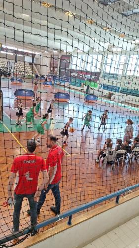 447968785_942917527631746_5456276797137868154_n